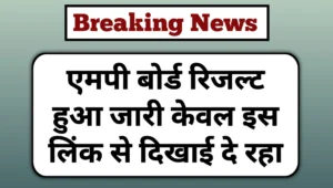 Read more about the article MPBSE Mp Board 10th 12th Result 2025 Check Direct Link: एमपी बोर्ड रिजल्ट हुआ जारी, चेक करें डायरेक्ट लिंक से